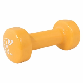 2.5Kg Coloured Vinyl Dipped Dumbbell Versatile looks Everyday style