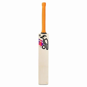Affordable Aura Pro 4.0 Junior's Cricket Bat Stylish