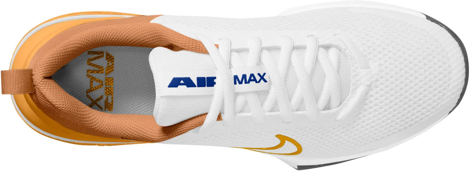 Air Max ALPHA TRAINER 6 Men's Sportswear Shoes Modern silhouettes