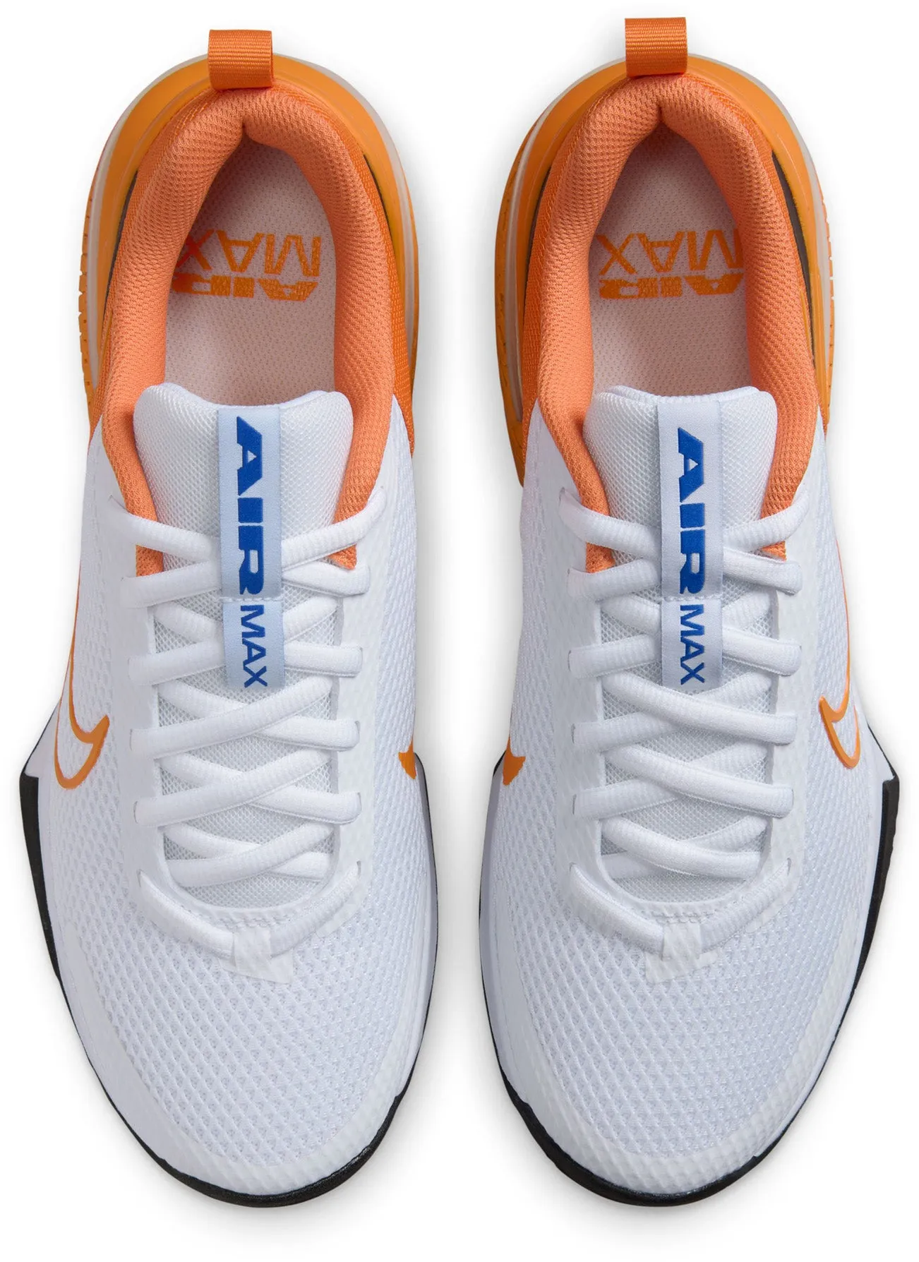 Air Max ALPHA TRAINER 6 Men's Sportswear Shoes Modern silhouettes