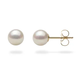 Akoya White Pearl Earrings in Gold - 6-6.5mm