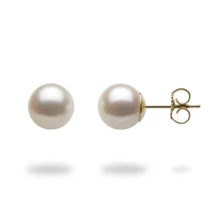Akoya White Pearl Earrings in Gold - 8mm