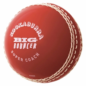 Big Bouncer Ball Sleek Fashionable styles