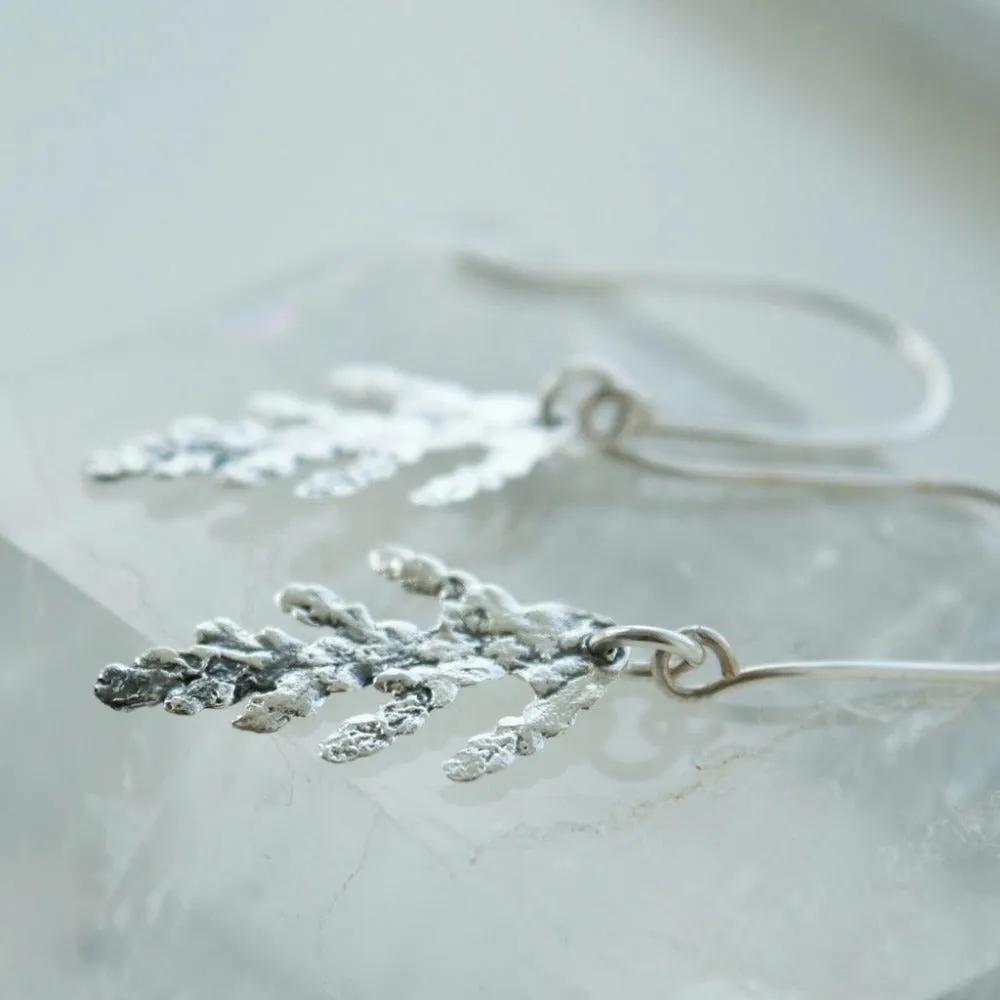 Cedar Drop Earrings