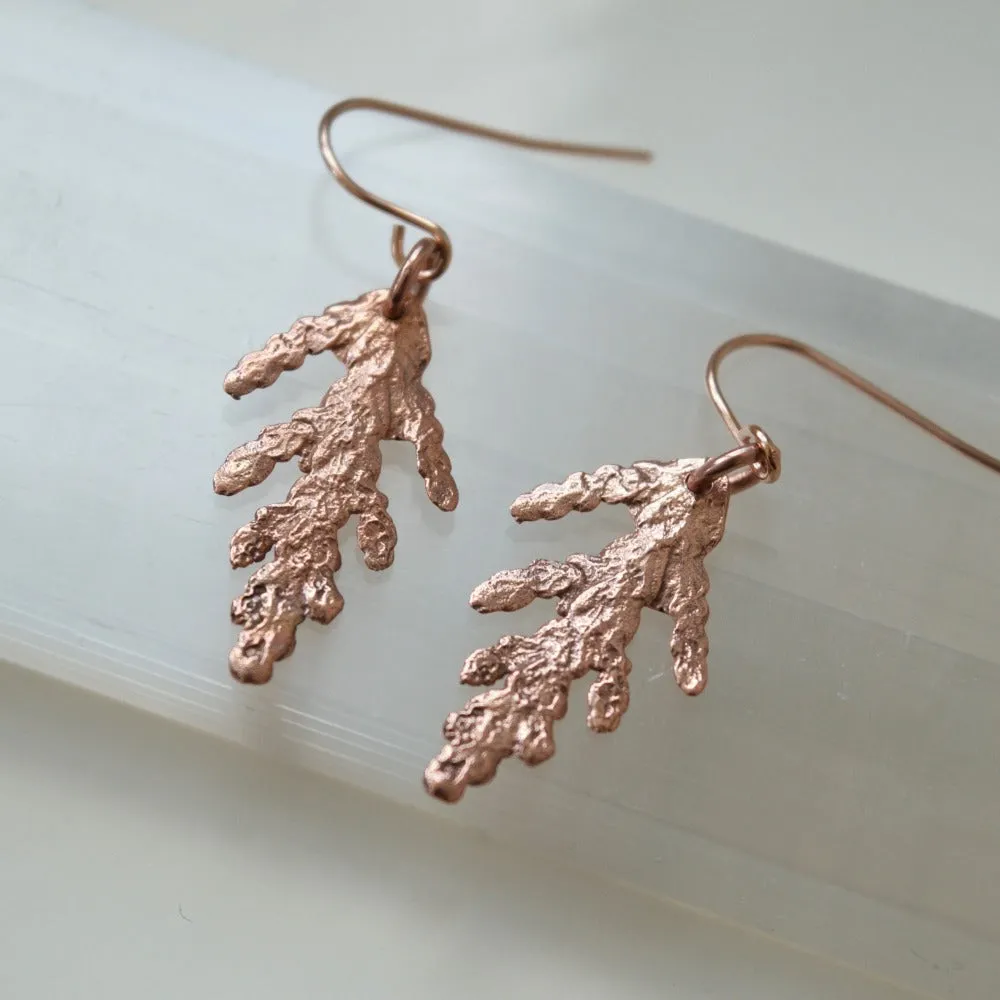 Cedar Drop Earrings
