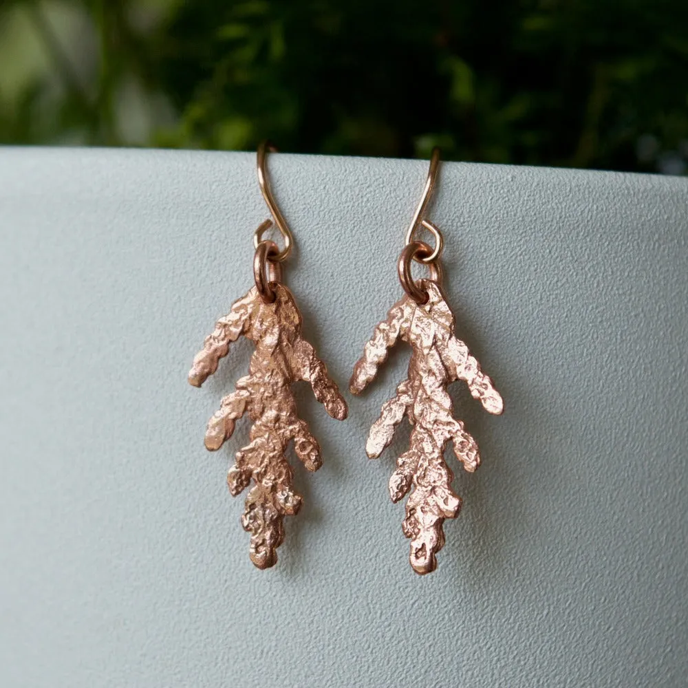 Cedar Drop Earrings