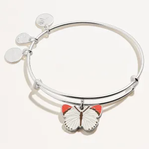 Colotis Danae Butterfly Charm Bangle
