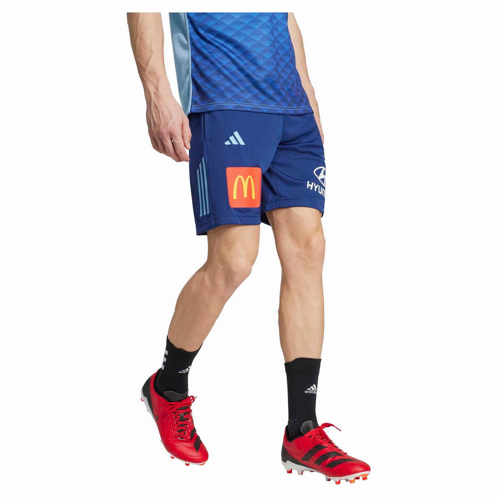 Comfortable fit Men's State Of Origin New South Wales Gym Shorts