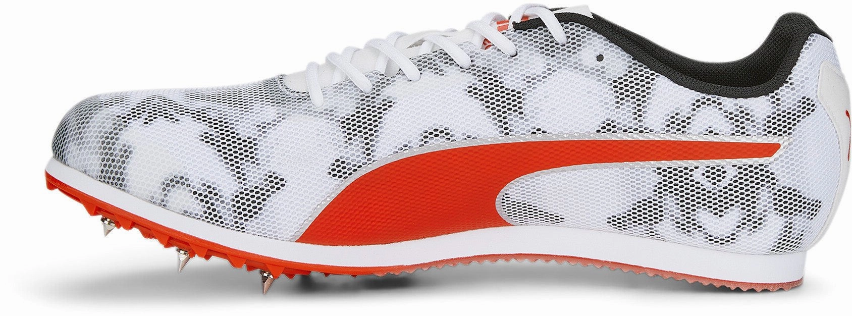 Edgy Evospeed Star 8