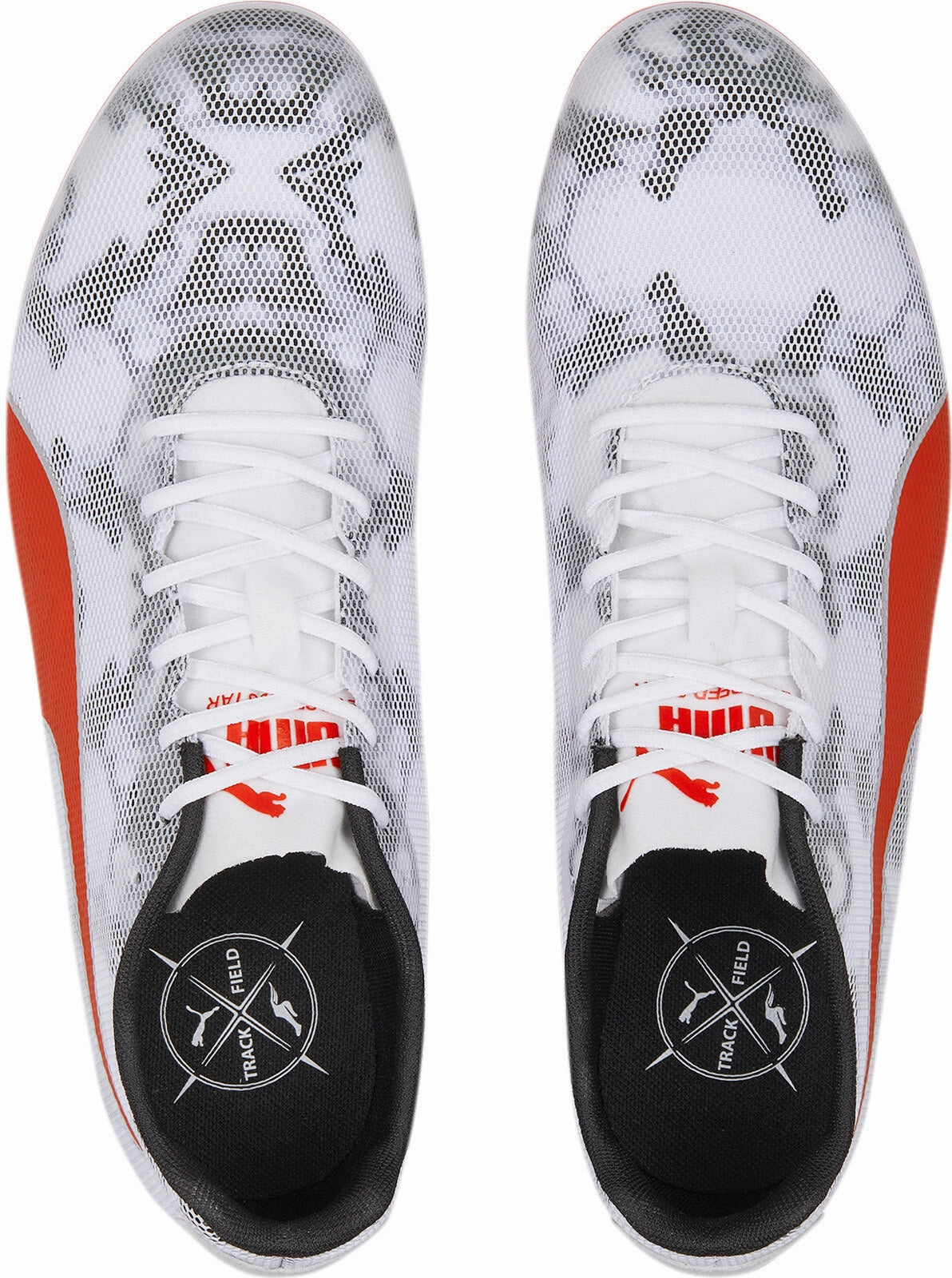 Edgy Evospeed Star 8