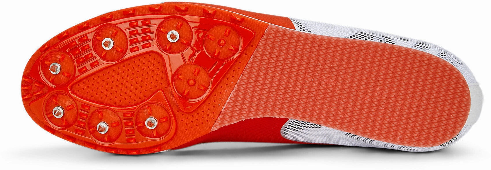 Edgy Evospeed Star 8
