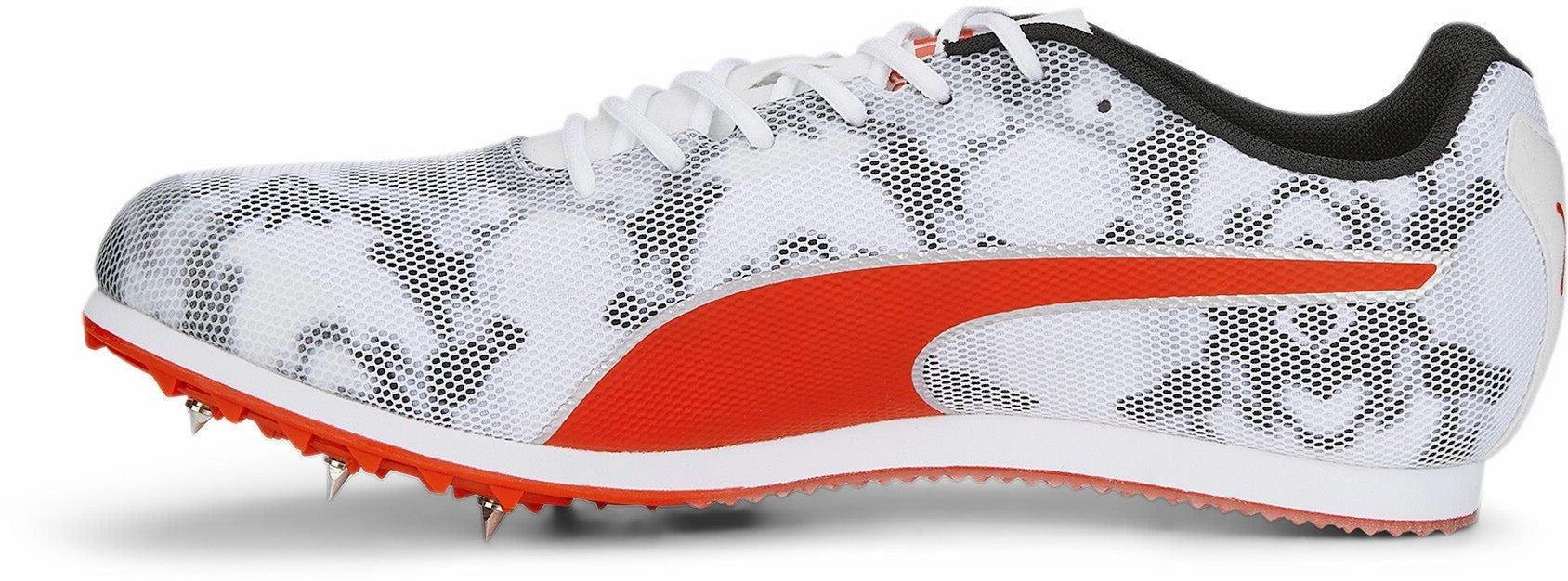 Edgy Evospeed Star 8
