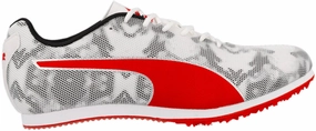 Edgy Evospeed Star 8 Attention to detail