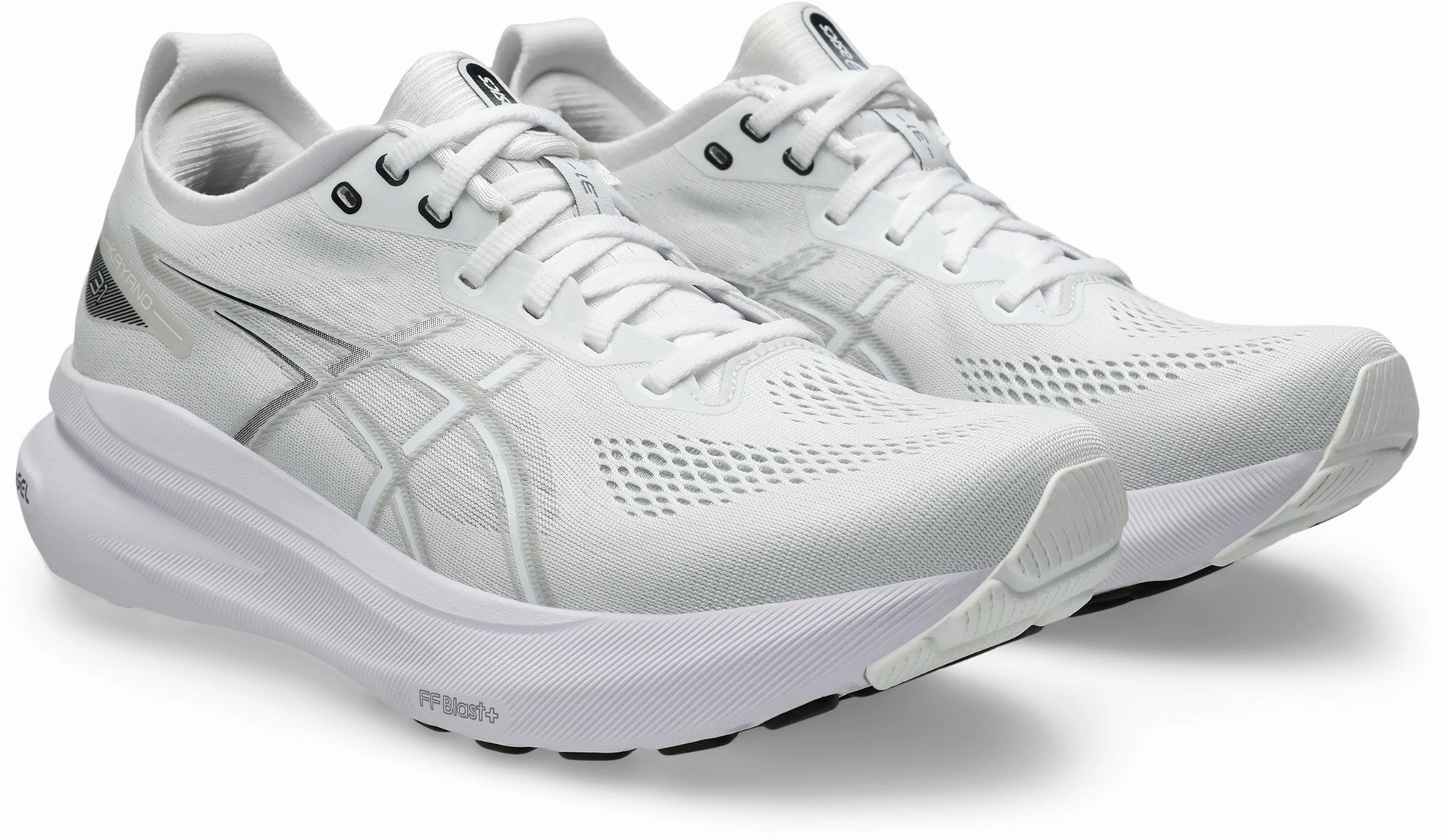 Elegant Gel Kayano 31 Men's Running Shoes (Width D)