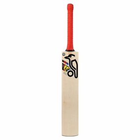 Fashion-conscious Beast Pro 4.0 Cricket Bat Lightweight