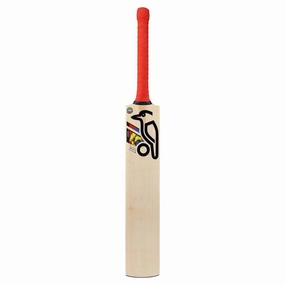 Fashion-conscious Beast Pro 4.0 Cricket Bat Lightweight