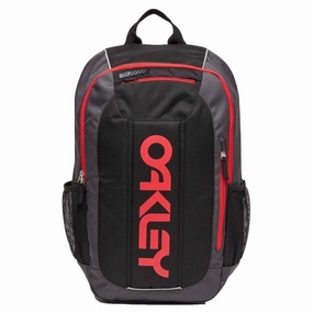 Fashionable basics Enduro 20L 3.0 Backpack Versatile pieces