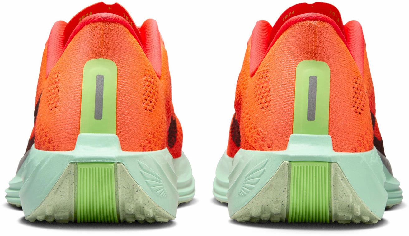Fashionable Pegasus Plus Road Running Shoes