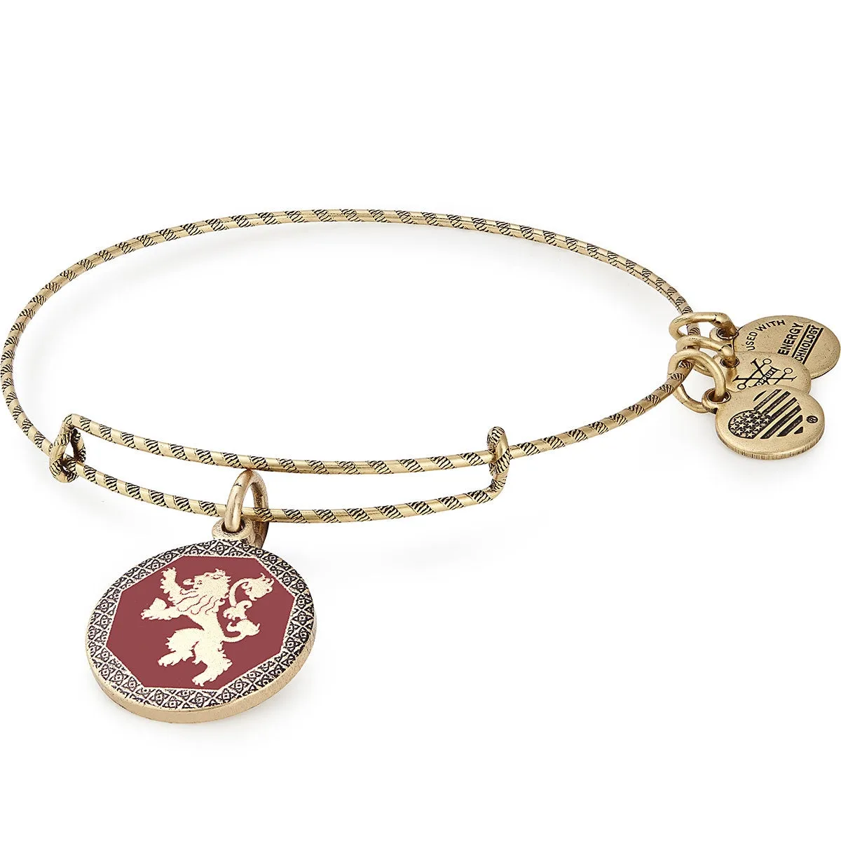 Game of Thrones? Hear Me Roar Charm Bangle