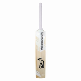 Ghost Pro 4.0 Cricket Bat Stylish designs Comfortable fit