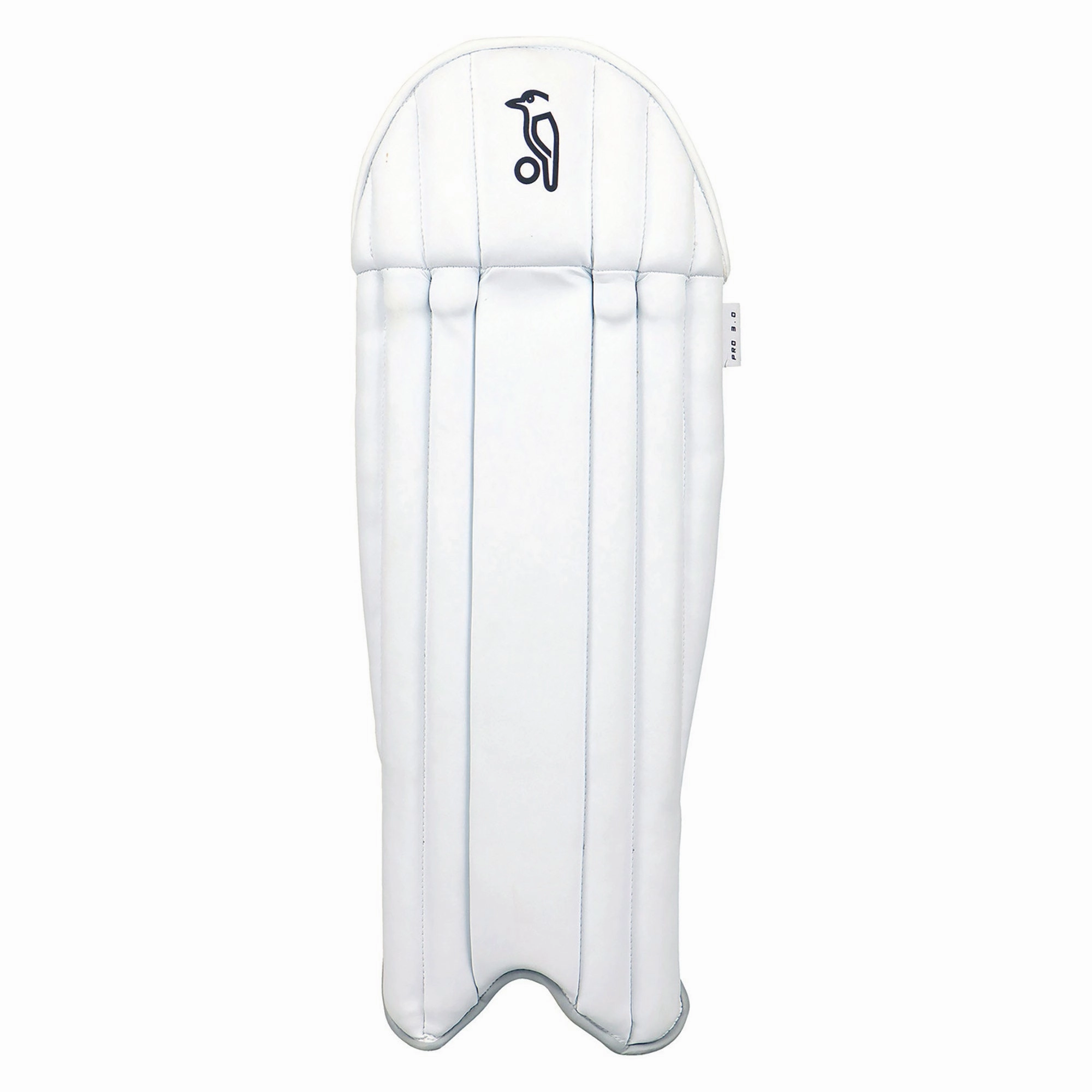 Junior's Pro 3.0 Wicket Keeping Leg Guards Everyday wear Durable construction