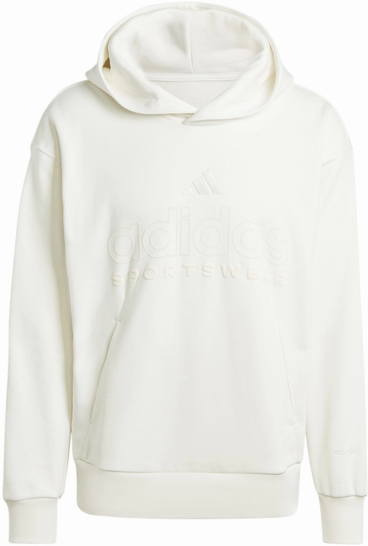 Daily Men's ALL SZN Fleece Graphic Hoodie Eco-friendly