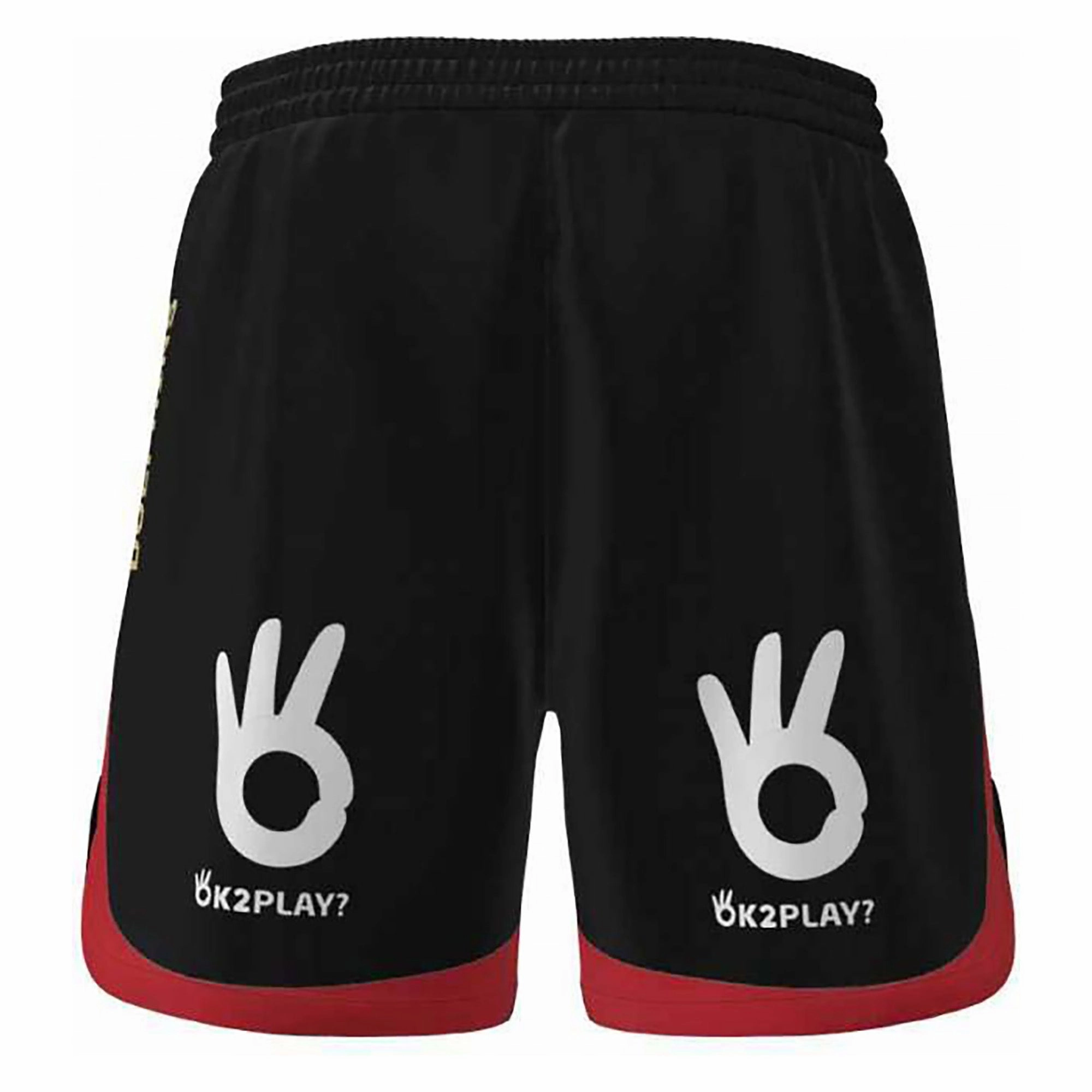 Men's NRL Dolphins 2023 Training Shorts Subtle