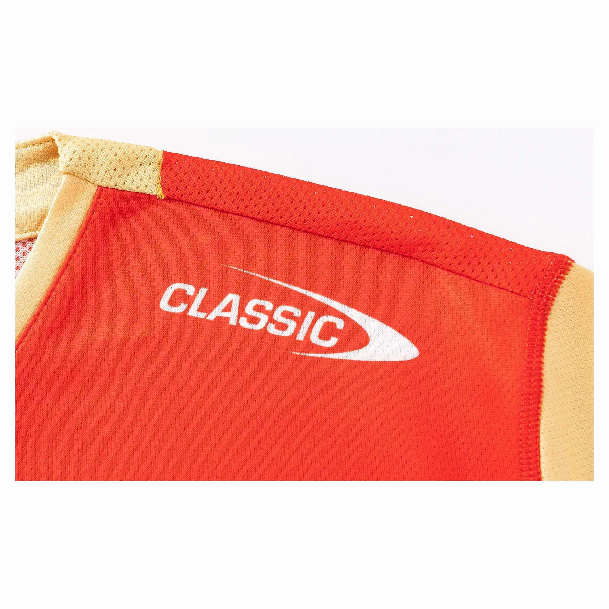 Men's NRL Redcliffe Dolphins 2025 Pro Training Tee Style guide