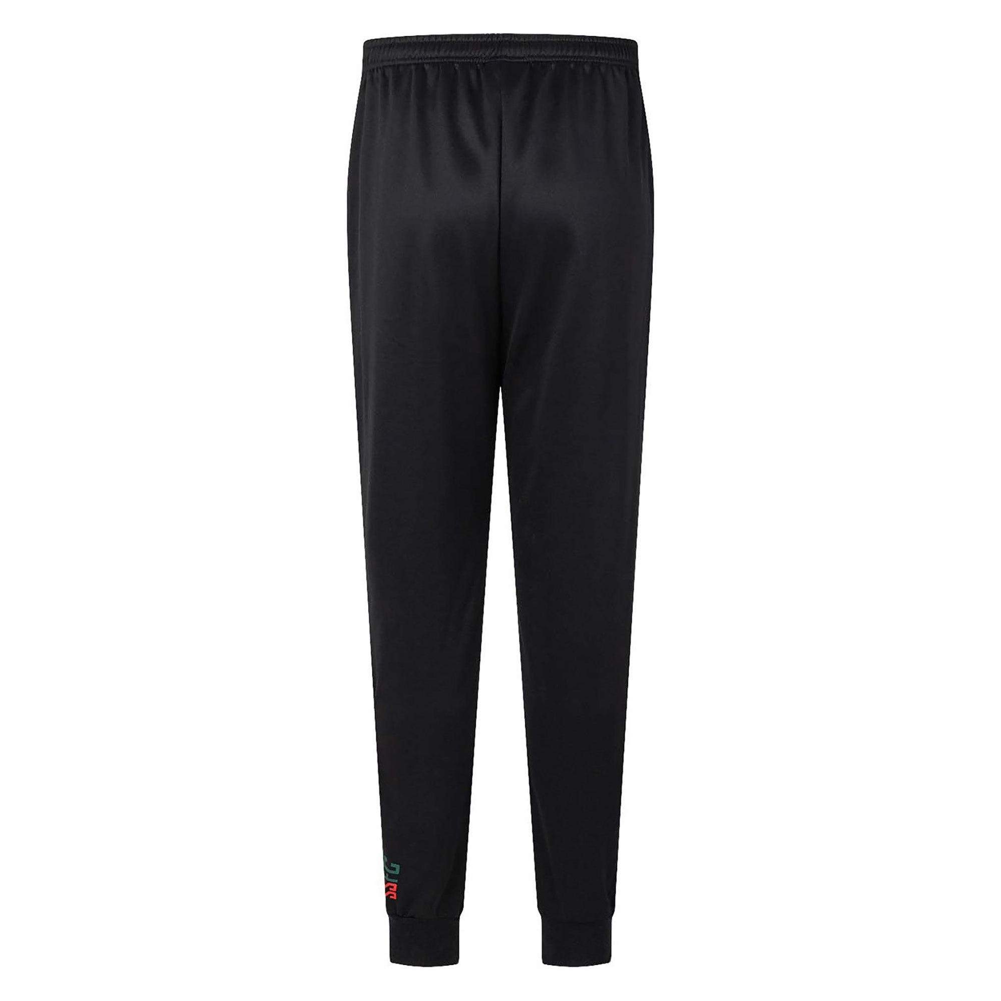 Men's NRL South Sydney Rabbitohs 2023 Track Pants Expressive
