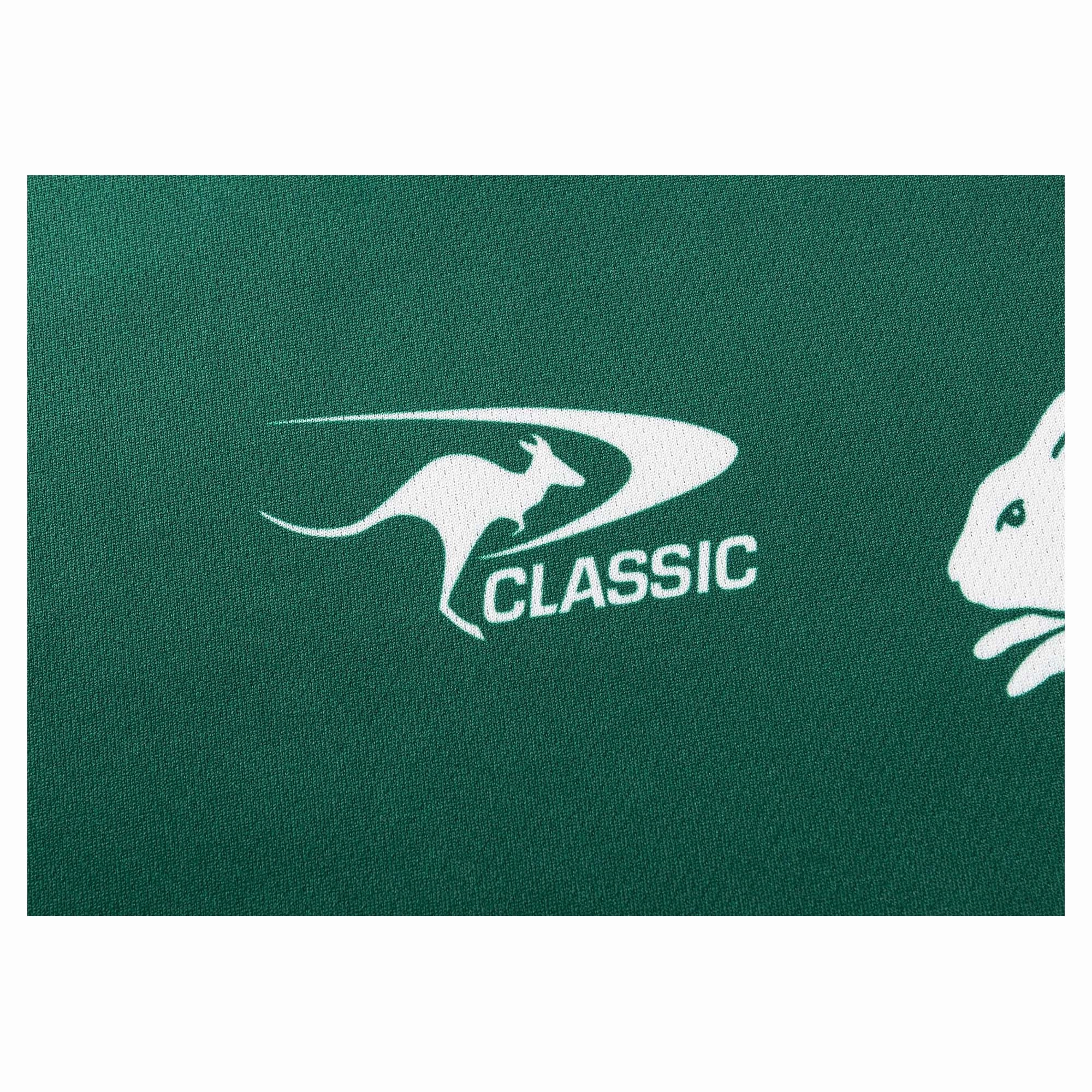 Men's NRL South Sydney Rabbitohs 2025 Pro Training Tee Durable fashion