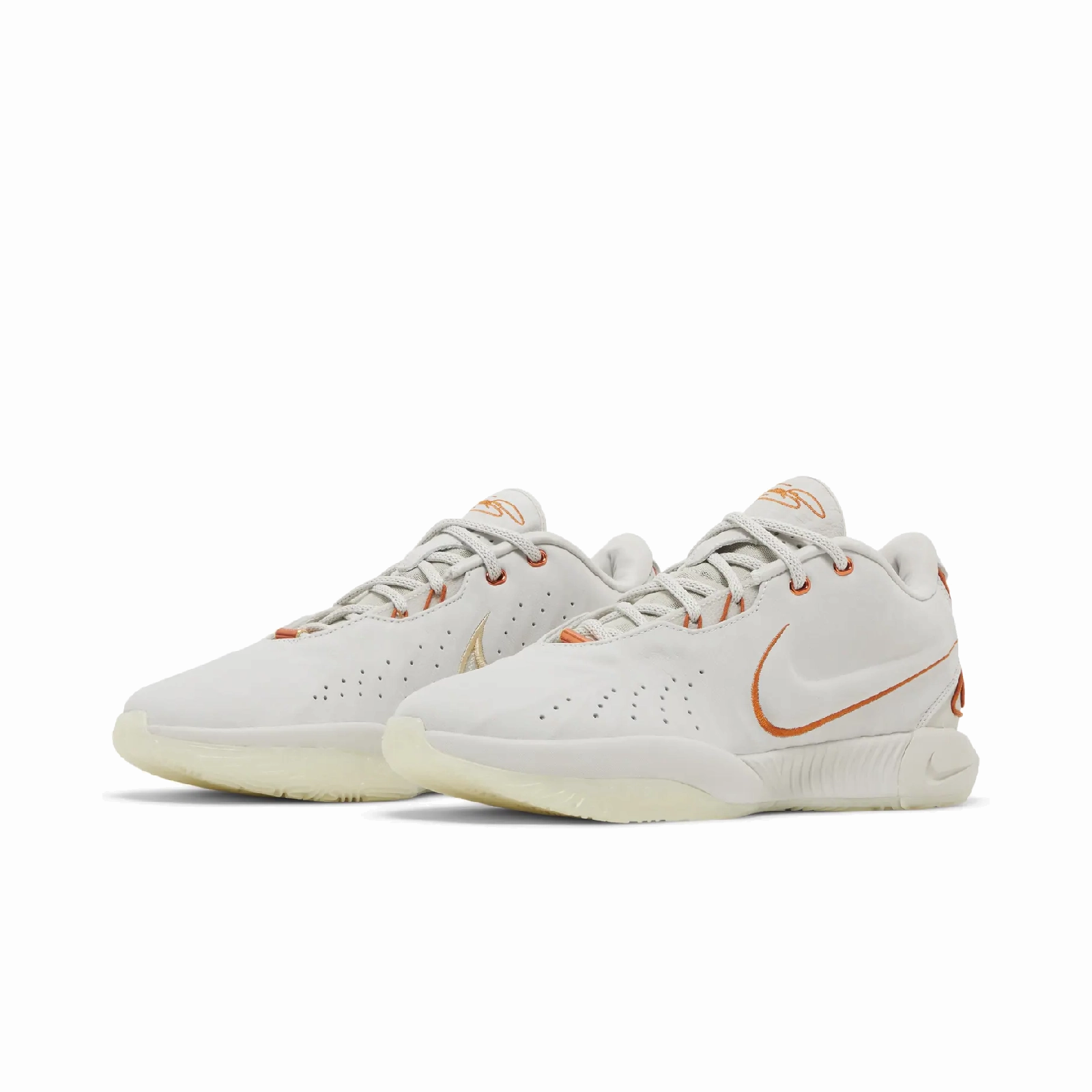 Nike LeBron 21 Akoya
