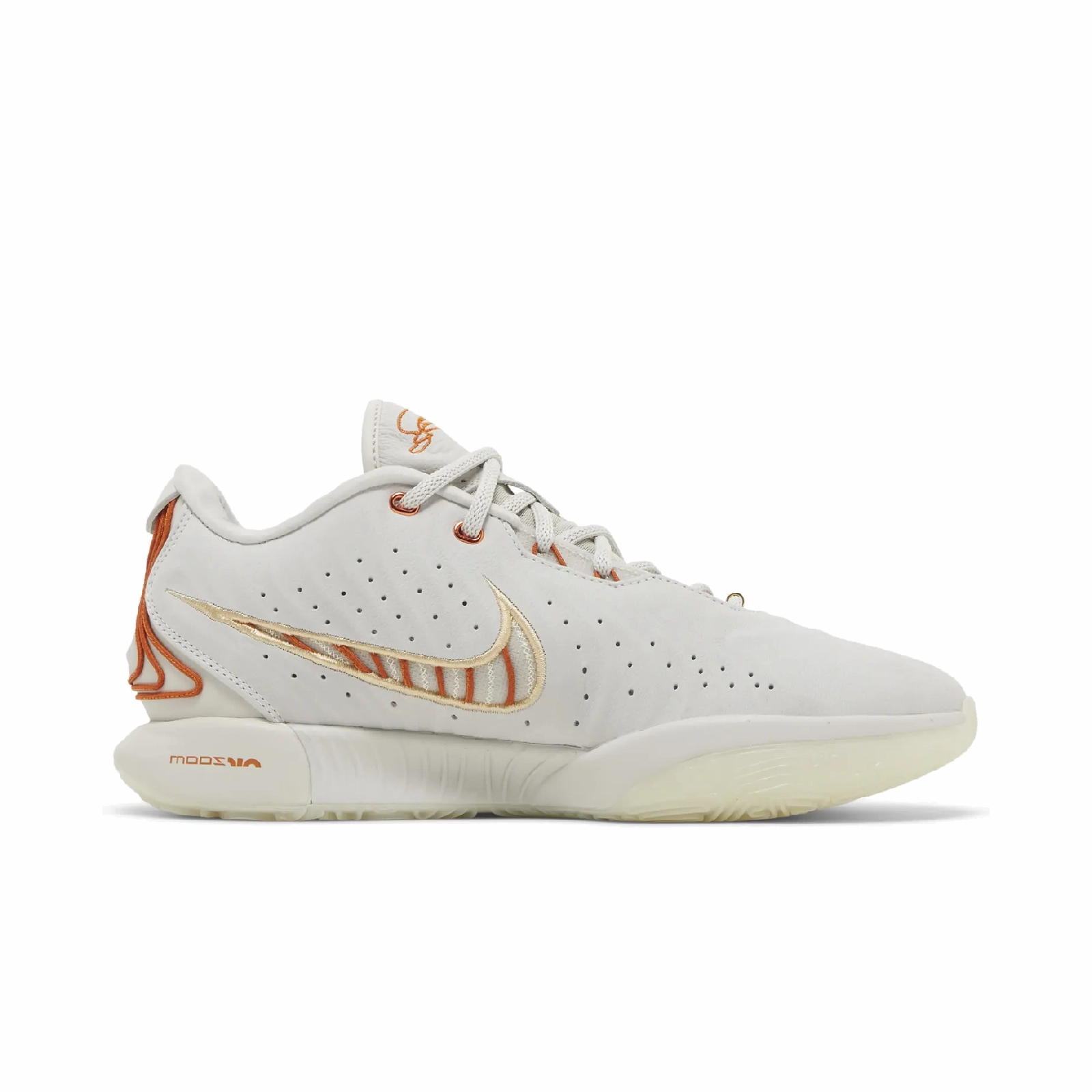 Nike LeBron 21 Akoya
