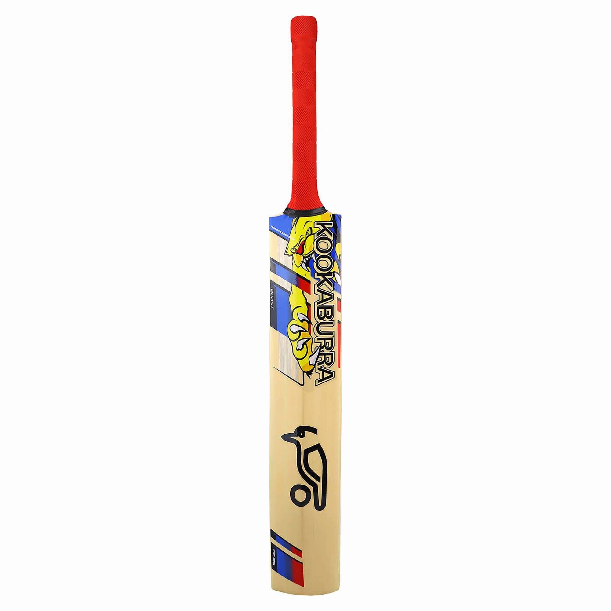 Classic fashion Beast Pro 9.0 Junior's Cricket Bat Stylish pieces