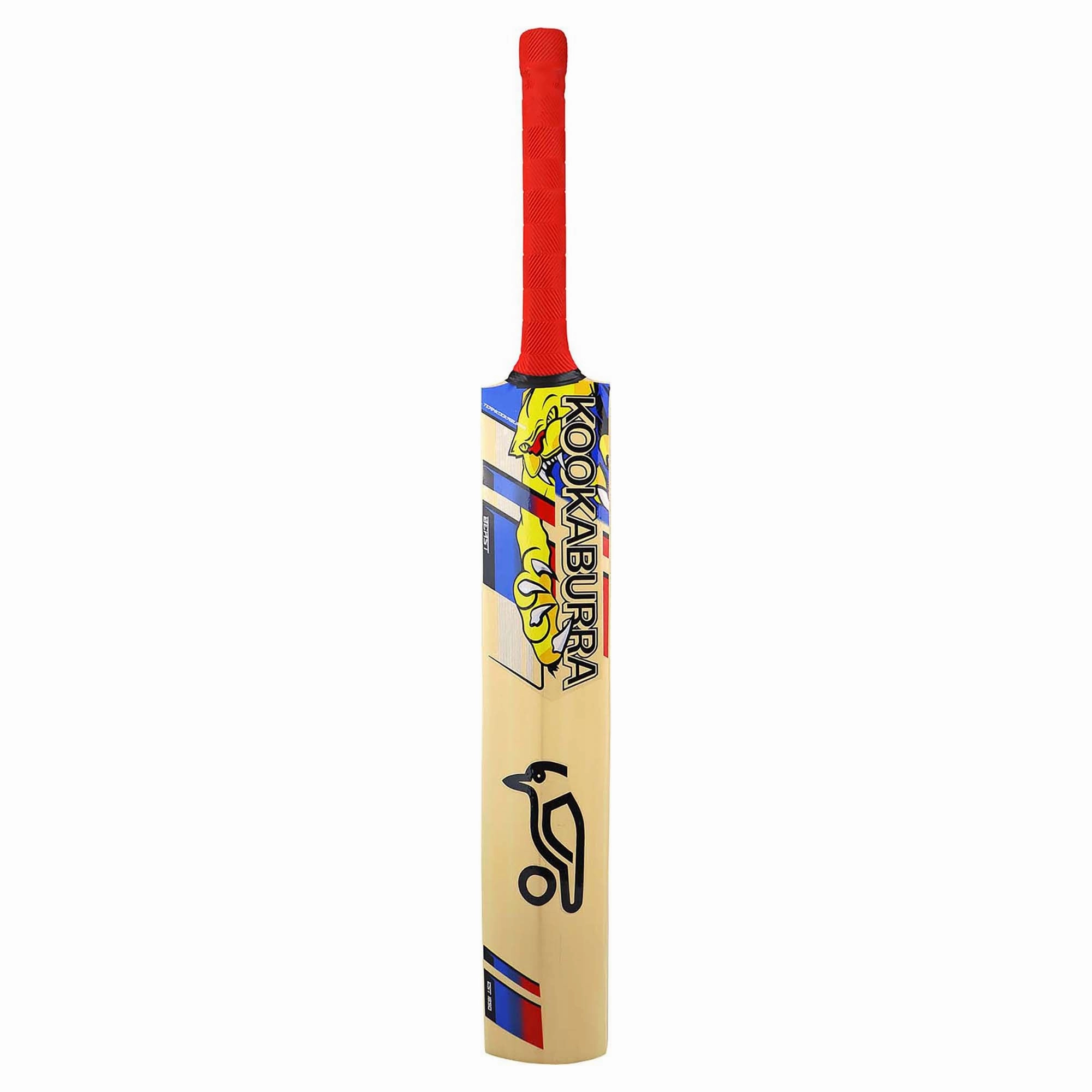 Classic fashion Beast Pro 9.0 Junior's Cricket Bat Stylish pieces