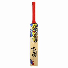 Premium fashion Beast Pro 9.0 Junior's Cricket Bat Relaxed