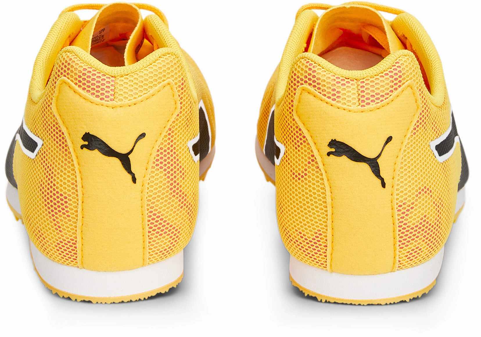 Premium fashion Evospeed Star 8
