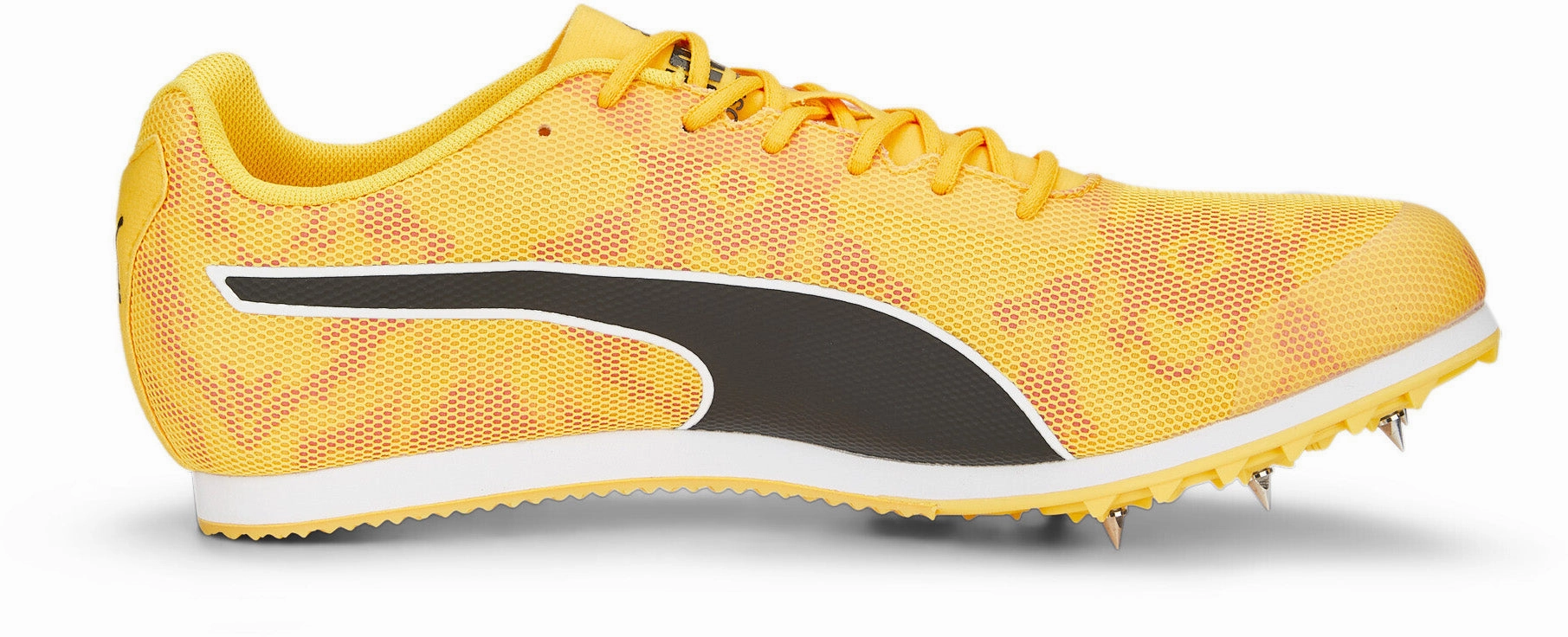 Evospeed Star 8 Perfect fit Modern designs