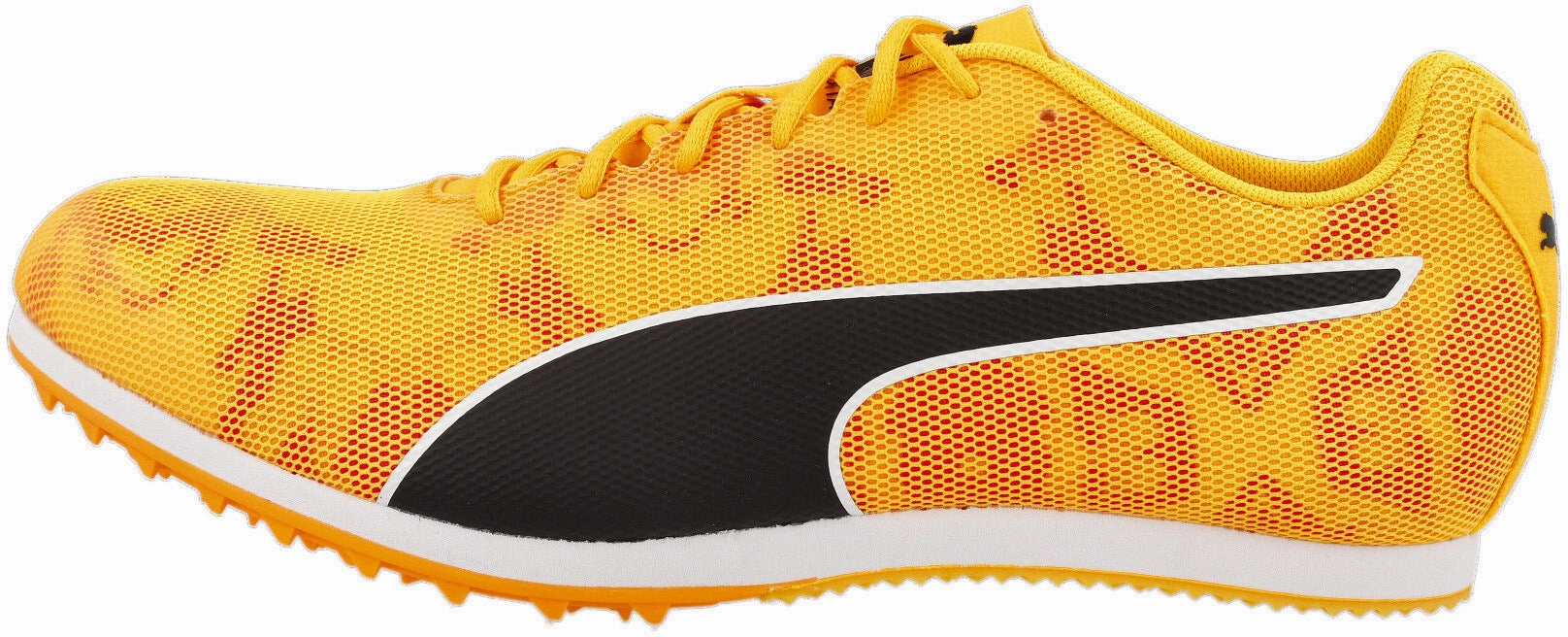Premium fashion Evospeed Star 8