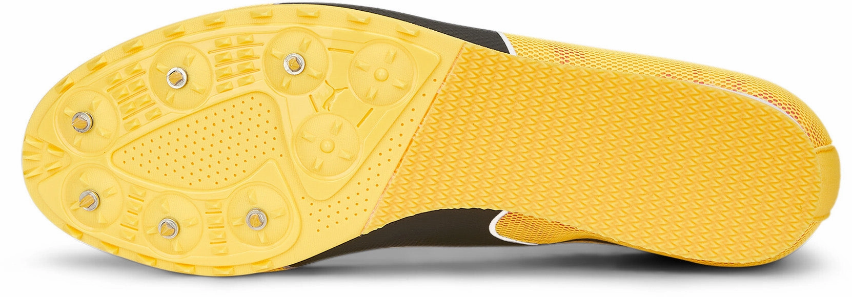Premium fashion Evospeed Star 8