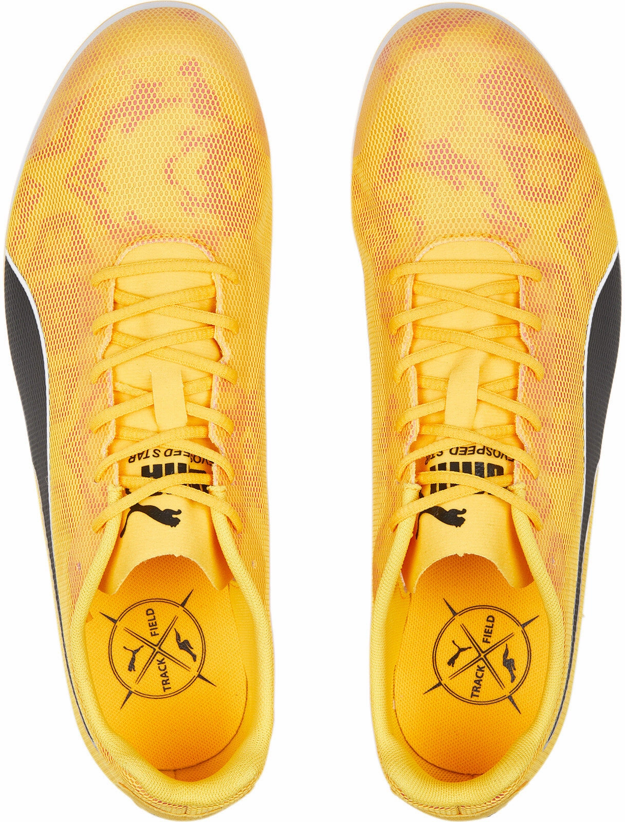 Premium fashion Evospeed Star 8