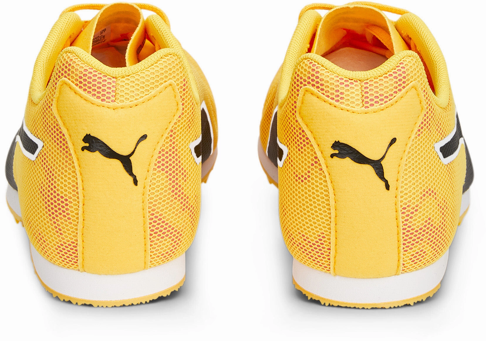 Premium fashion Evospeed Star 8
