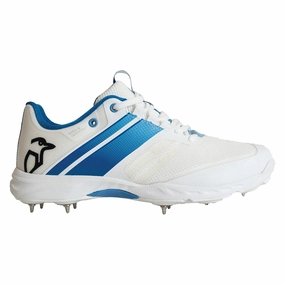 Pro 2.0 Spike Men's Cricket Shoes Well-fitted Stylish looks