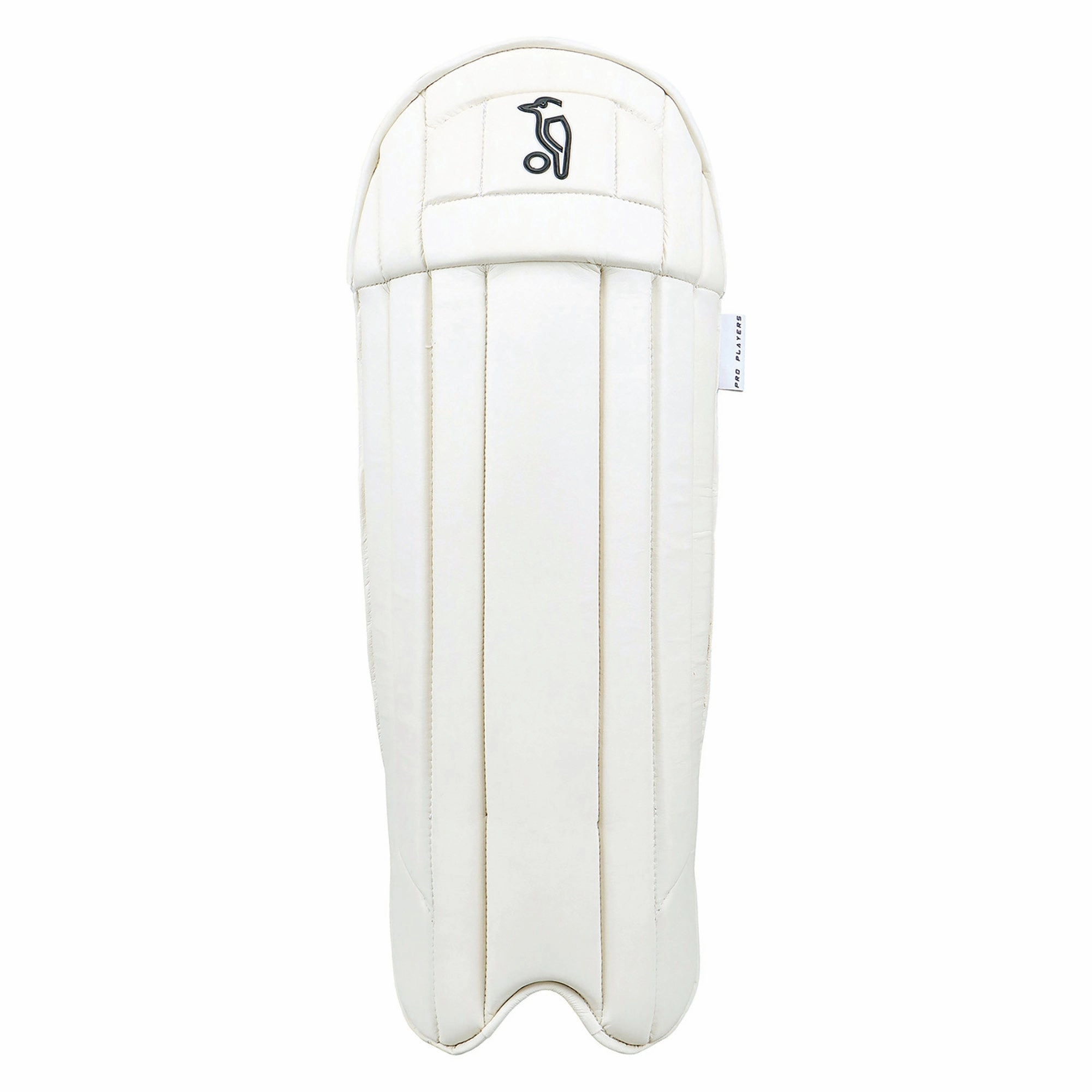 Seasonal Pro Players Wicket Keeping Leg Guards Edgy