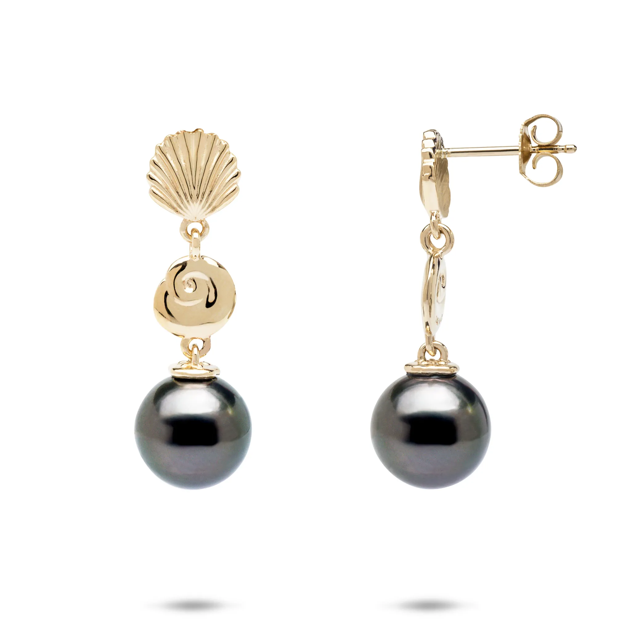 Seashells Tahitian Black Pearl Earrings in Gold - 9-10mm