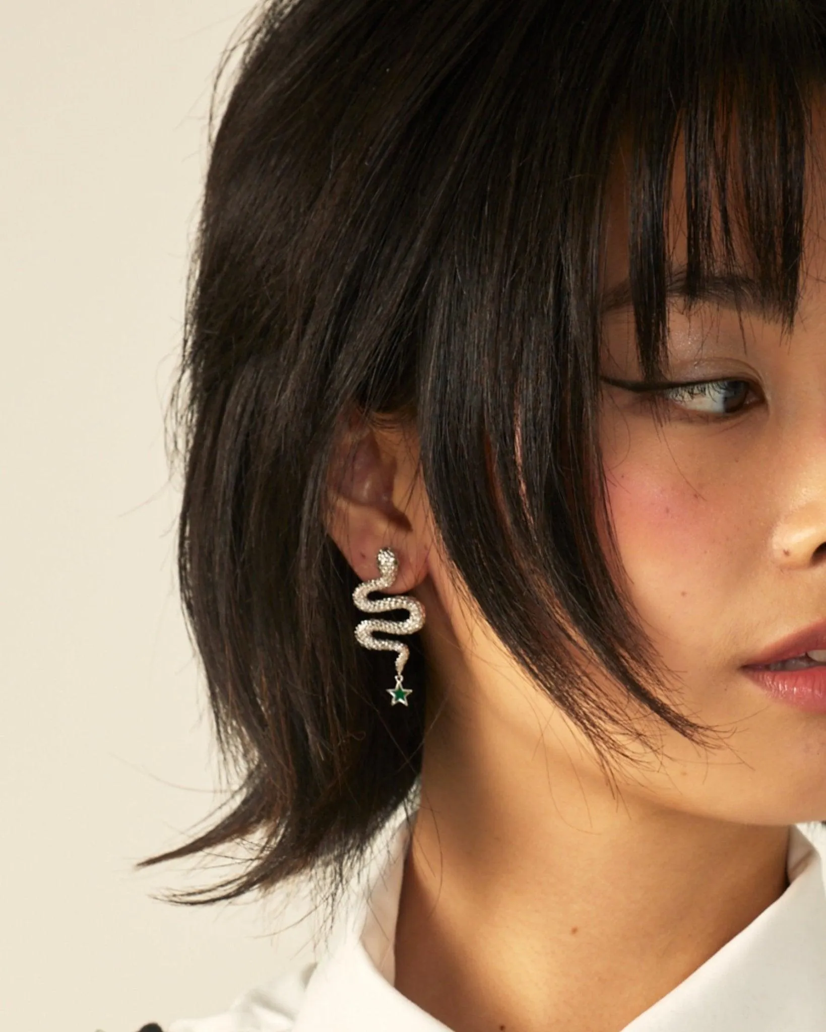 Snake Earrings in Silver