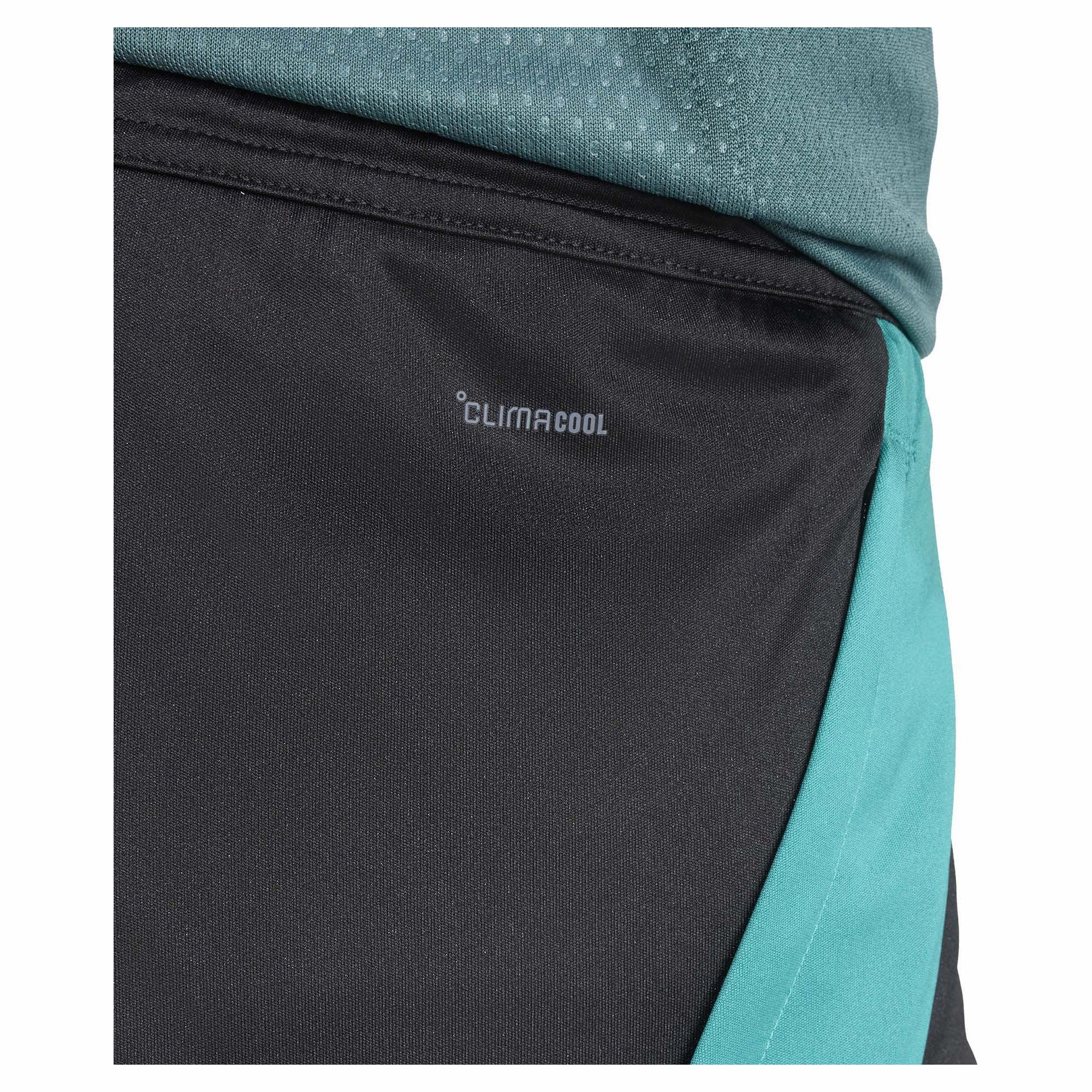 Style essentials Men's New Zealand All Blacks Rugby Gym Shorts