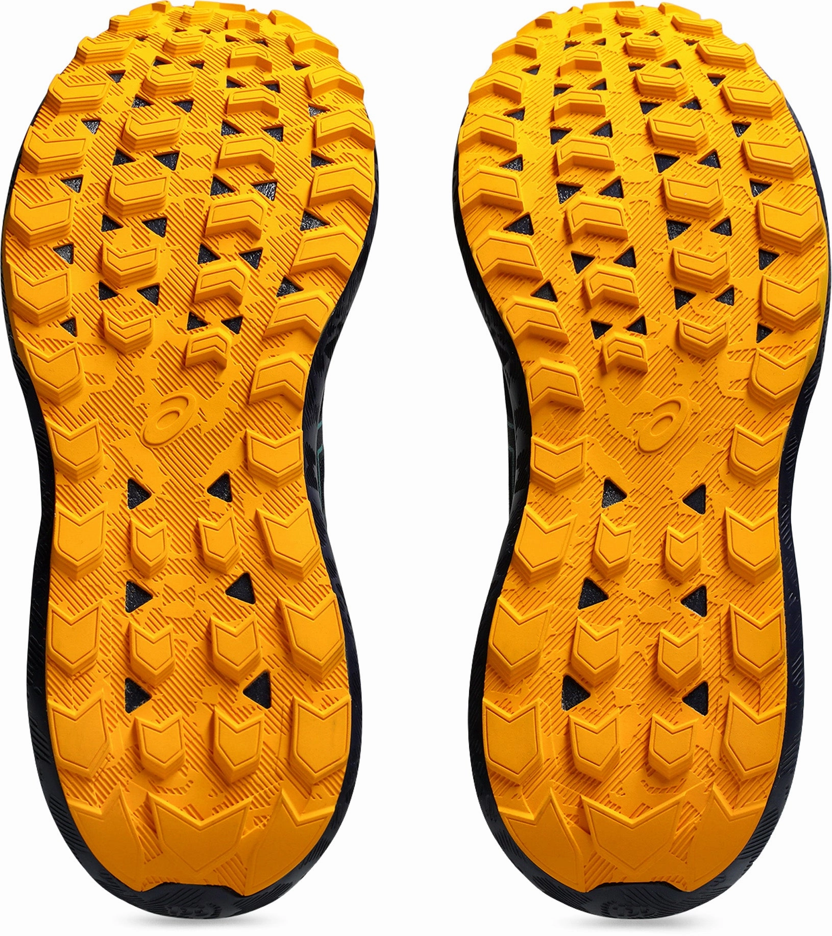Stylish choices GEL-SONOMA 8 Men's Trail Running Shoes
