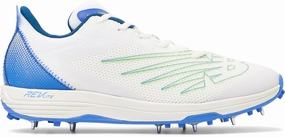 Sustainable CK10v5 Men's Cricket Shoes Statement
