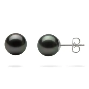 Tahitian Black Pearl Earrings in White Gold - 8-9mm