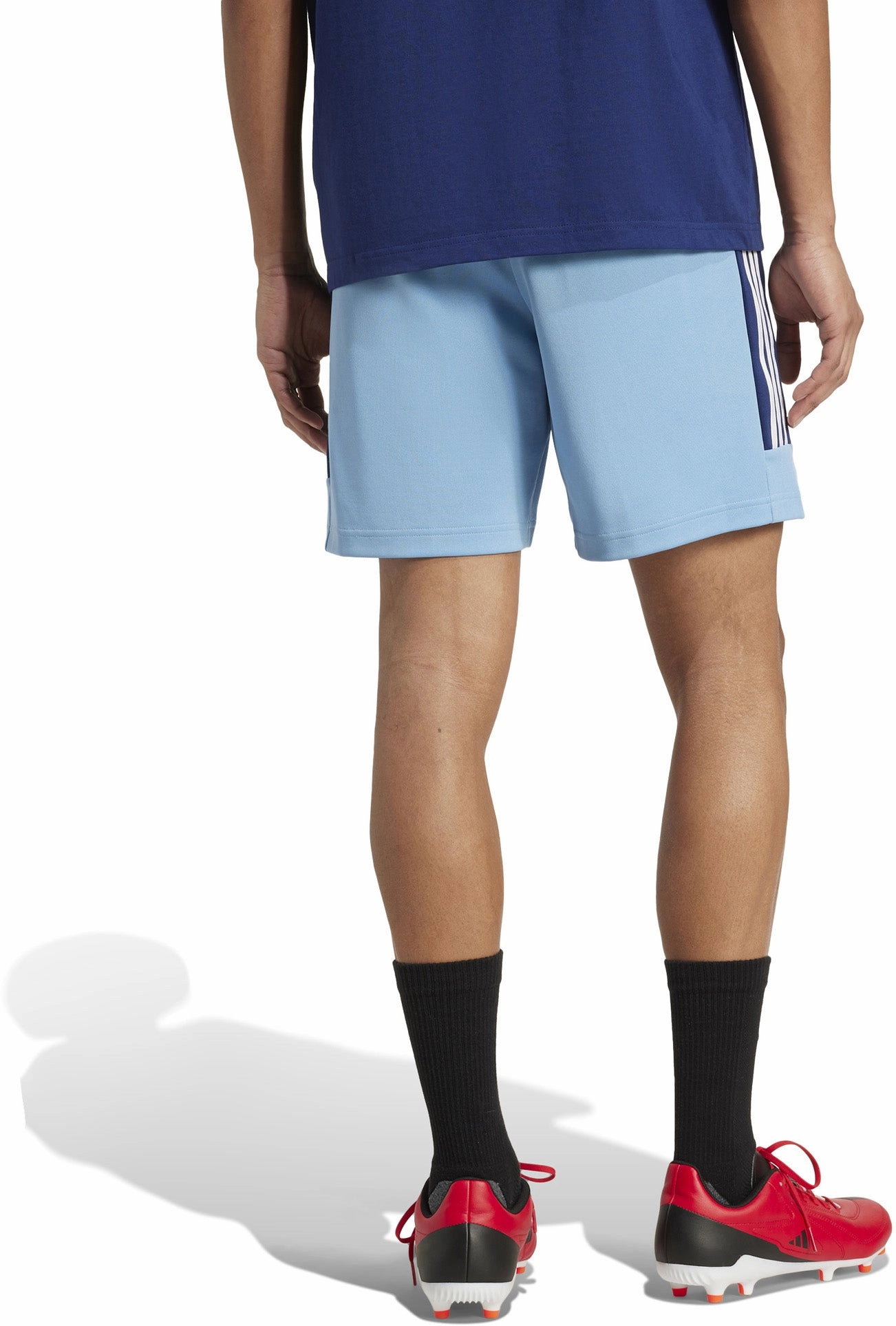 Trendy wearables Men's State Of Origin New South Wales Rugby Tiro Nations Pack Shorts